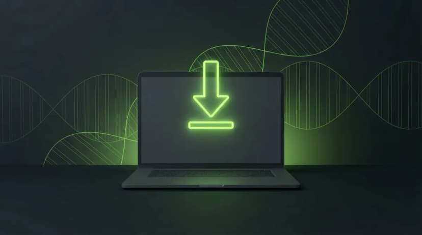 Instant download access